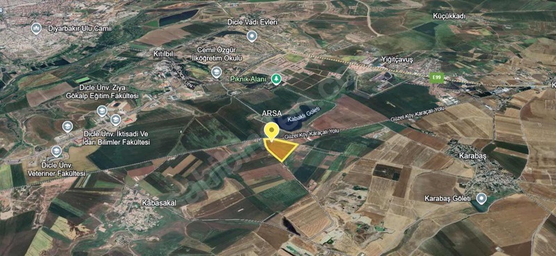 Fotoğraf