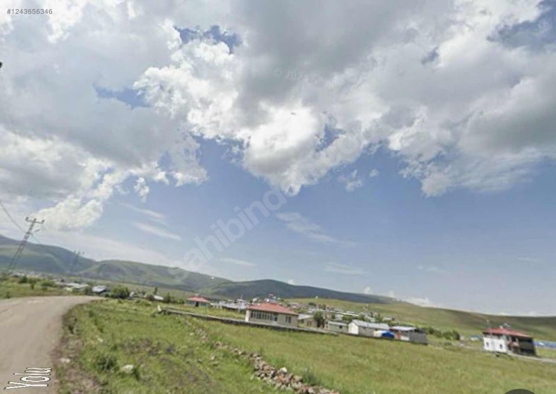Fotoğraf