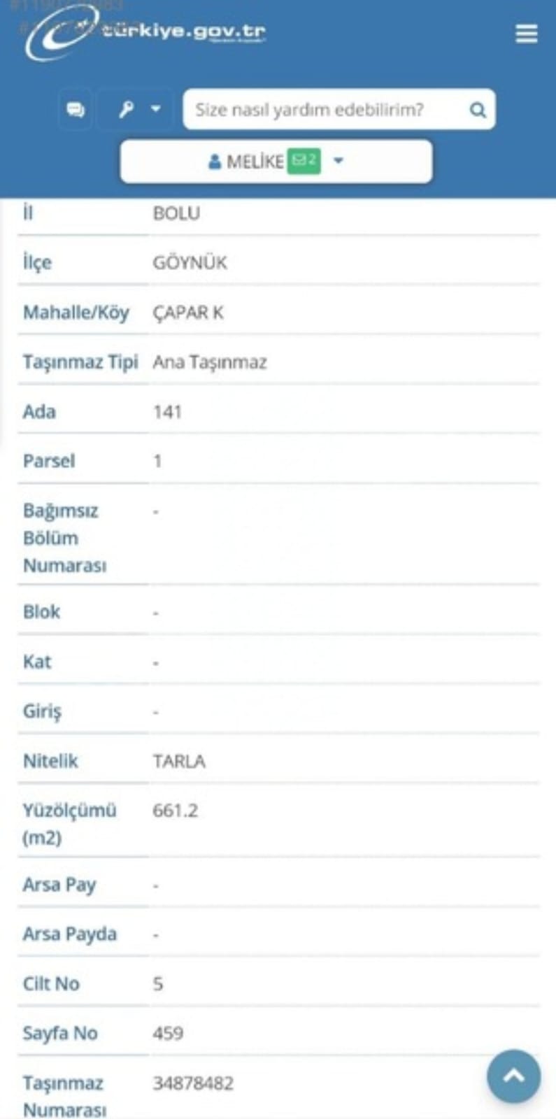 Fotoğraf