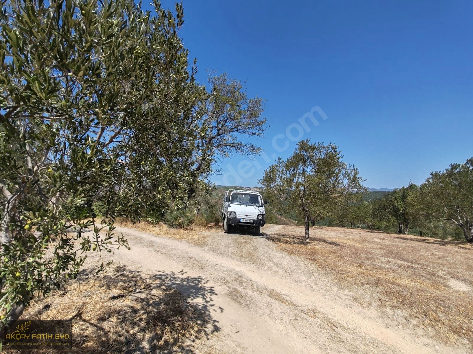 Balıkesir Havran Tepeobada 16,7 Dönüm Kelepir Satılık Zeytinlik