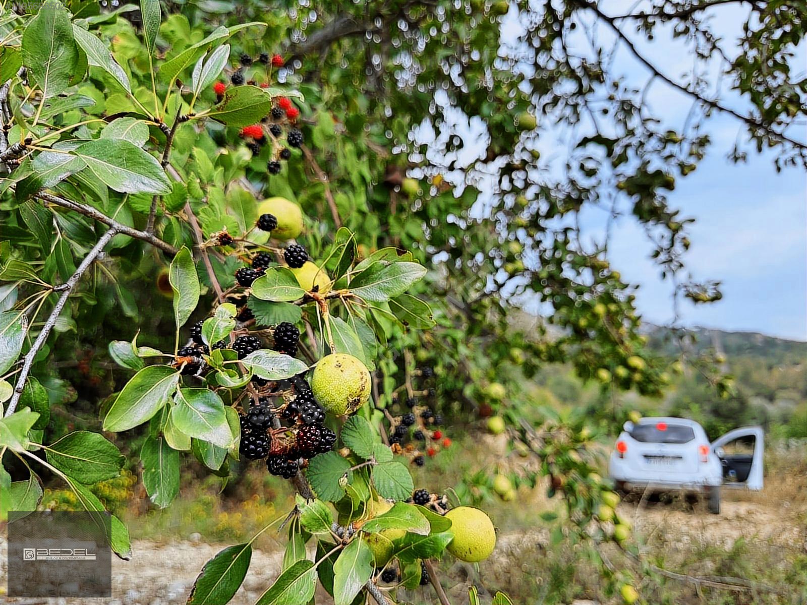 İlan Fotoğrafı