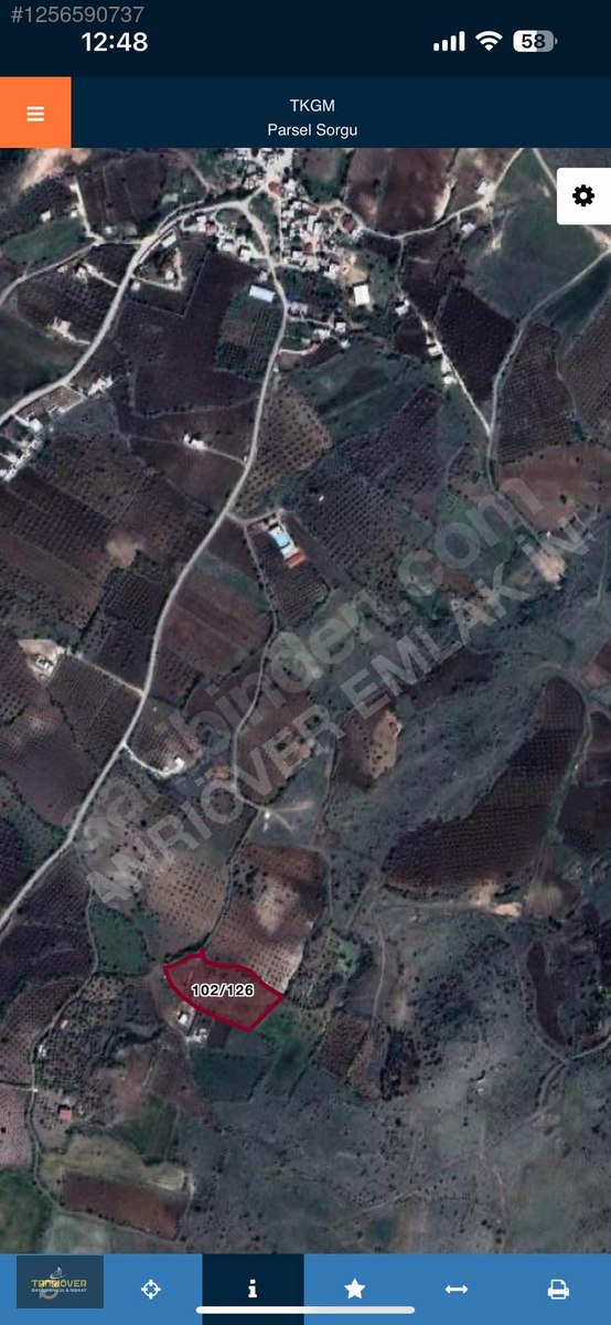 Fotoğraf