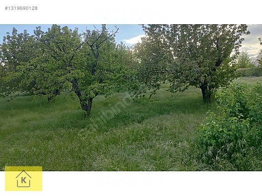 İlan Fotoğrafı