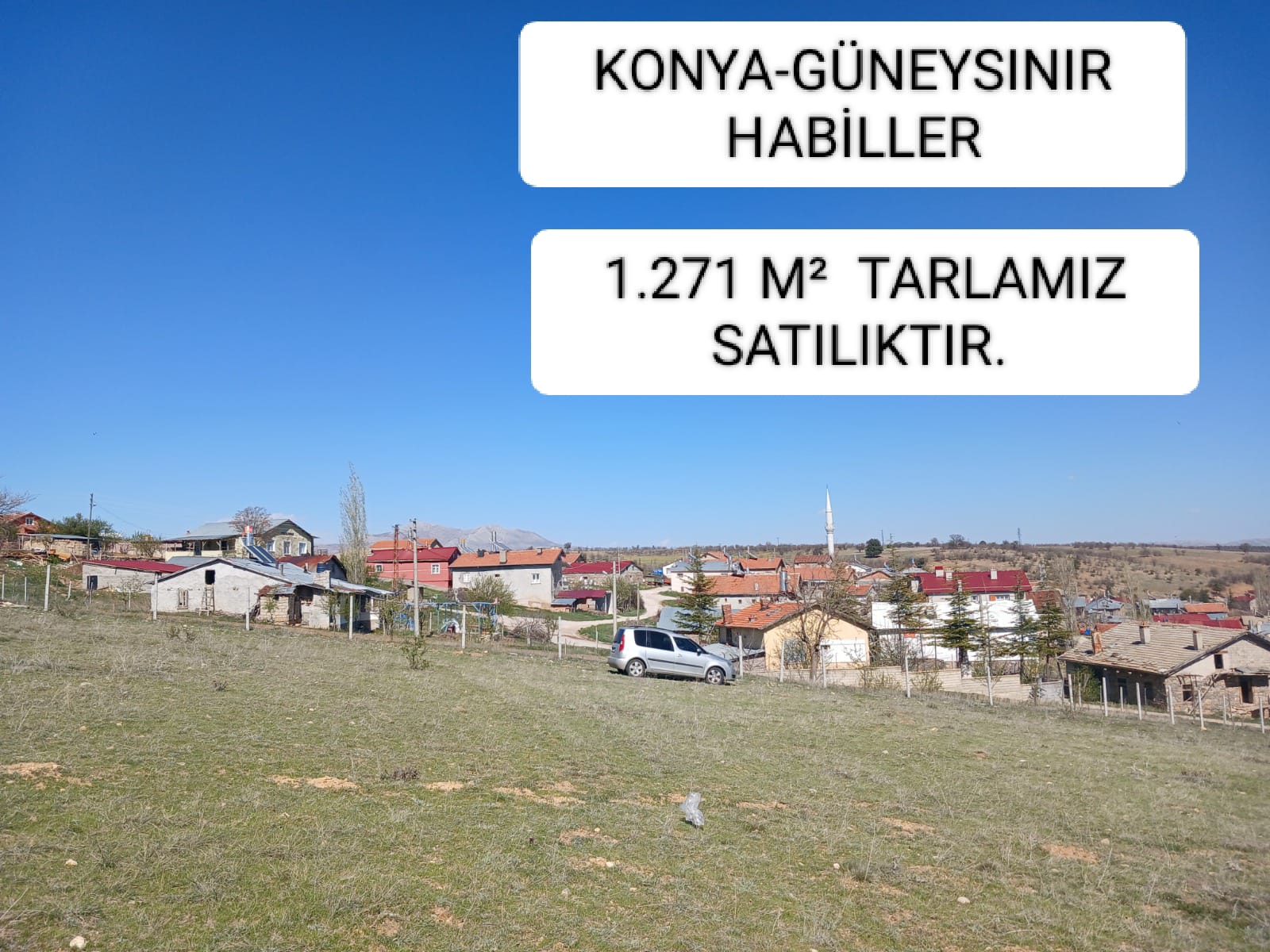 Fotoğraf