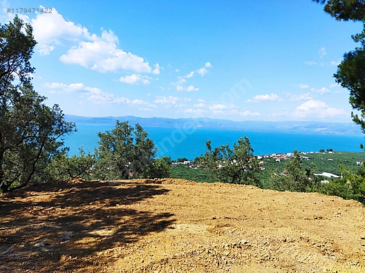 Fotoğraf