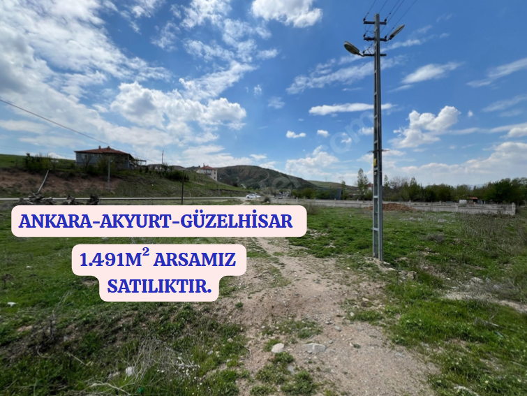 Fotoğraf