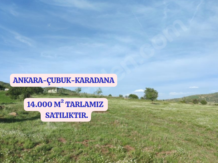 Fotoğraf