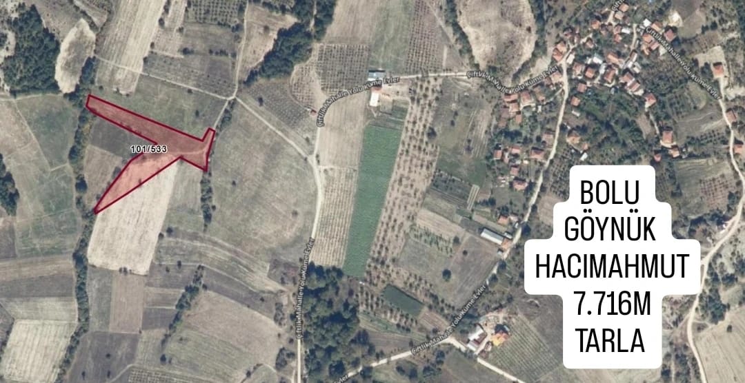 Fotoğraf