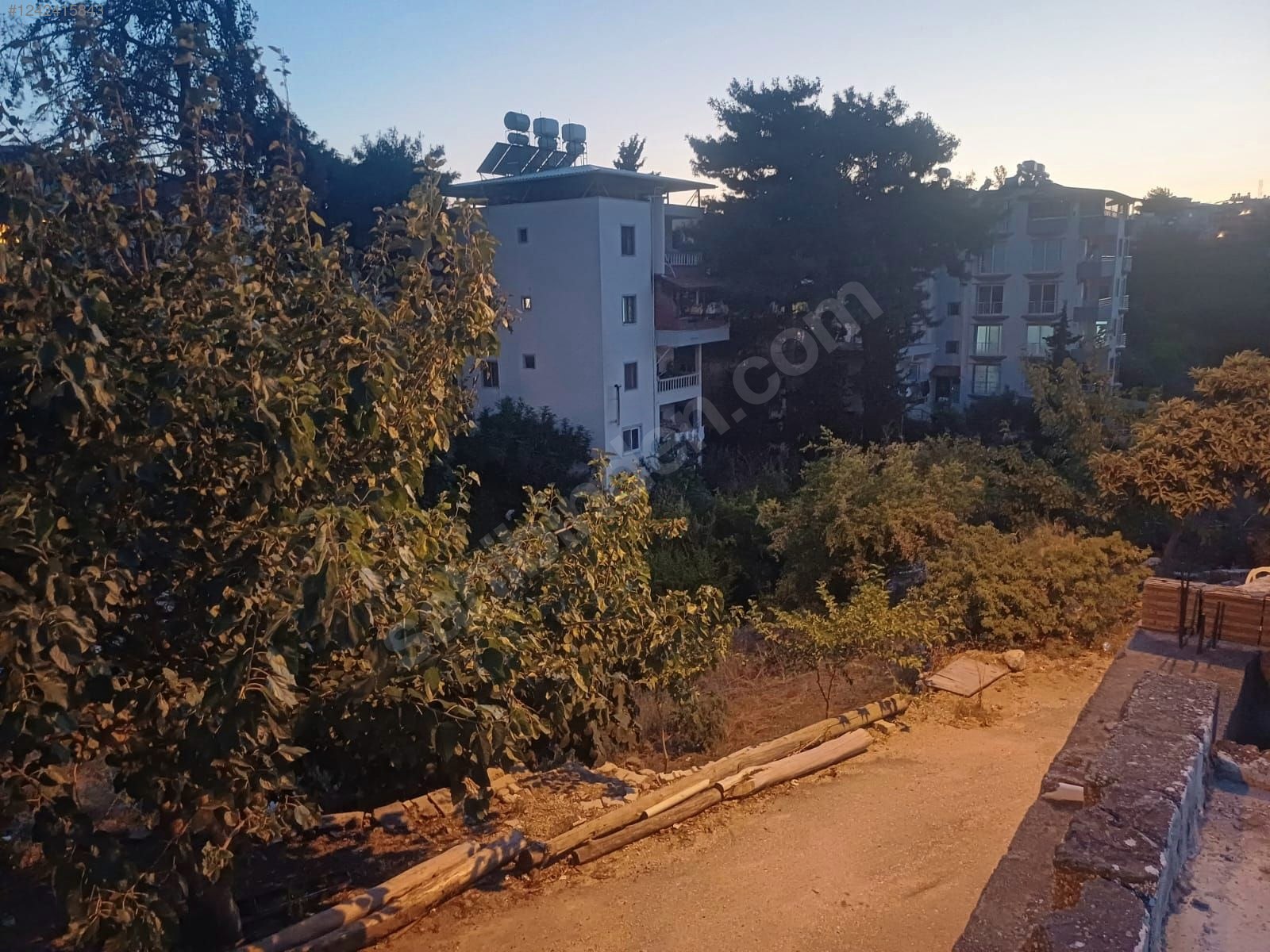 Fotoğraf