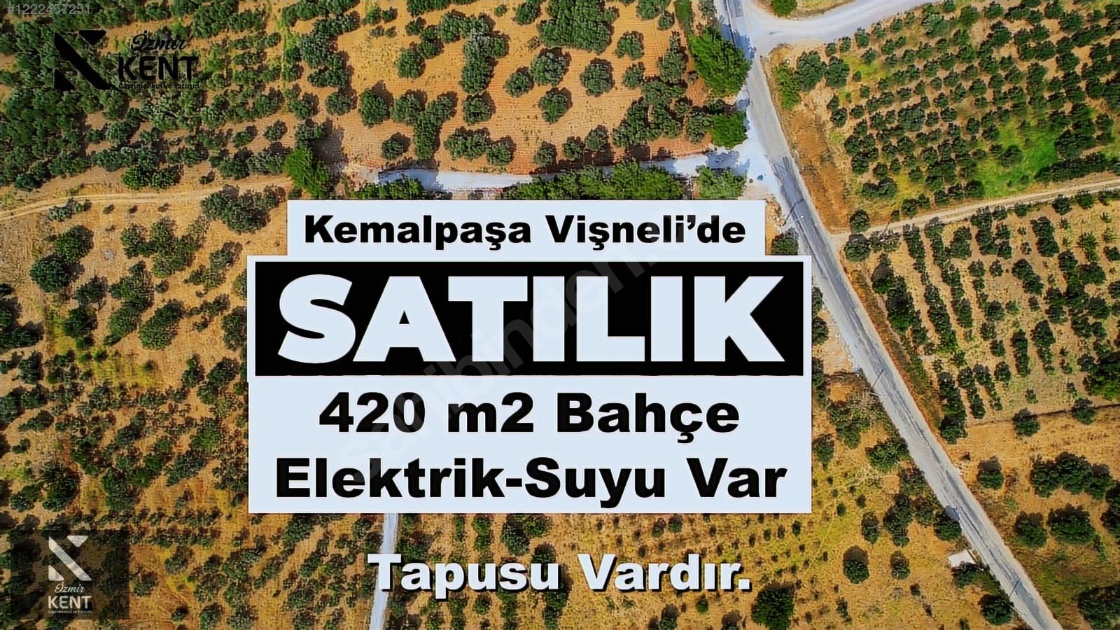 Fotoğraf