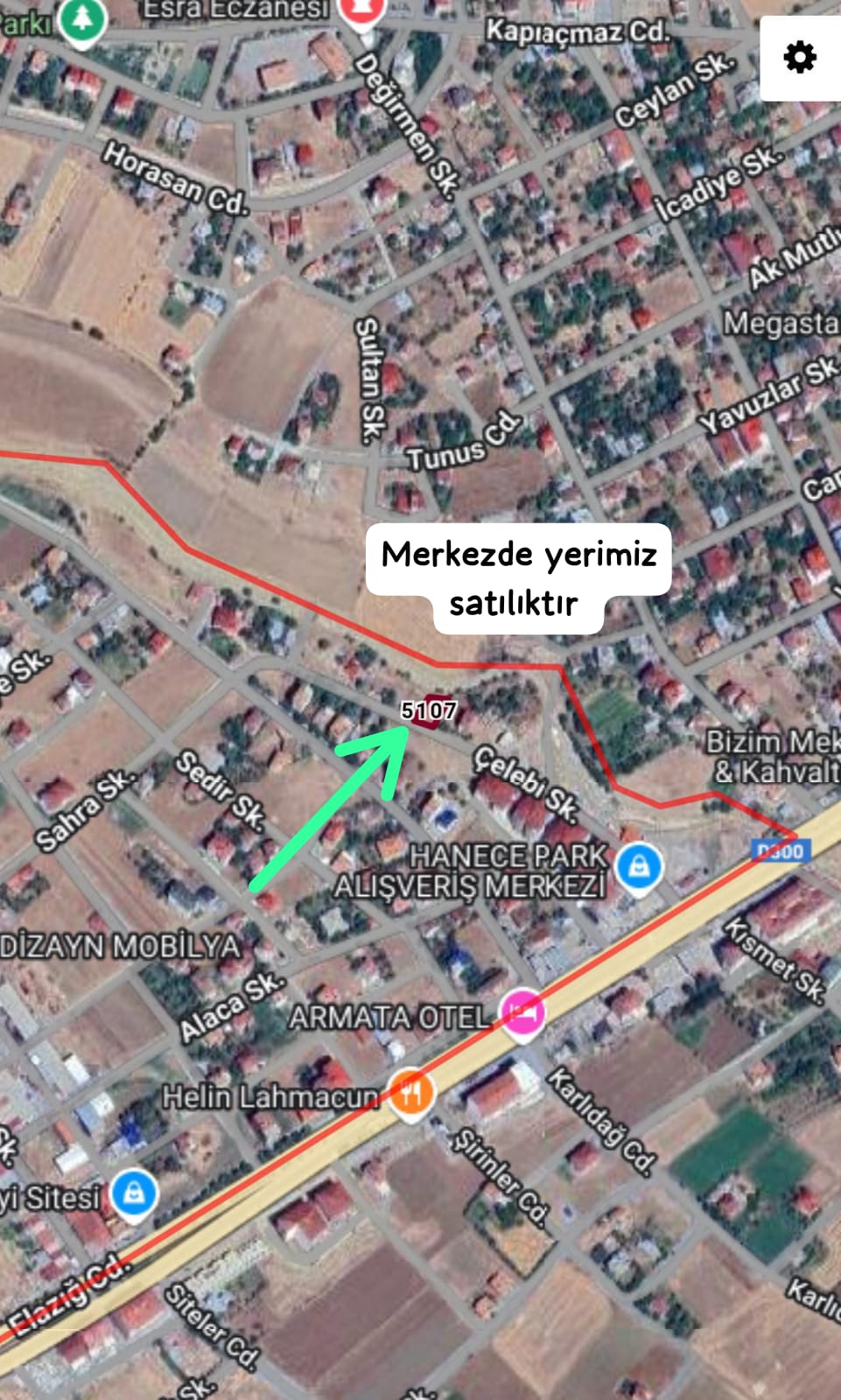 Fotoğraf