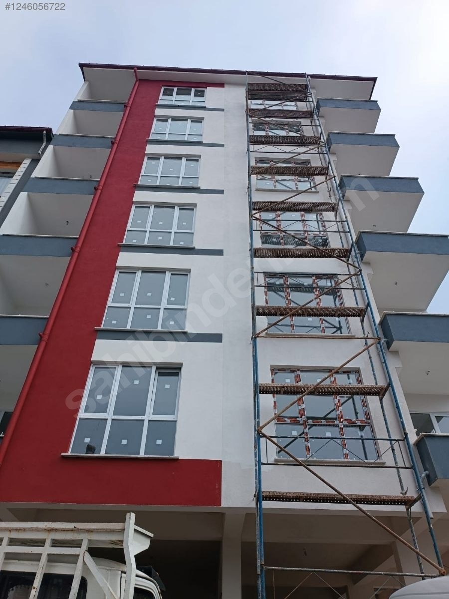 Fotoğraf