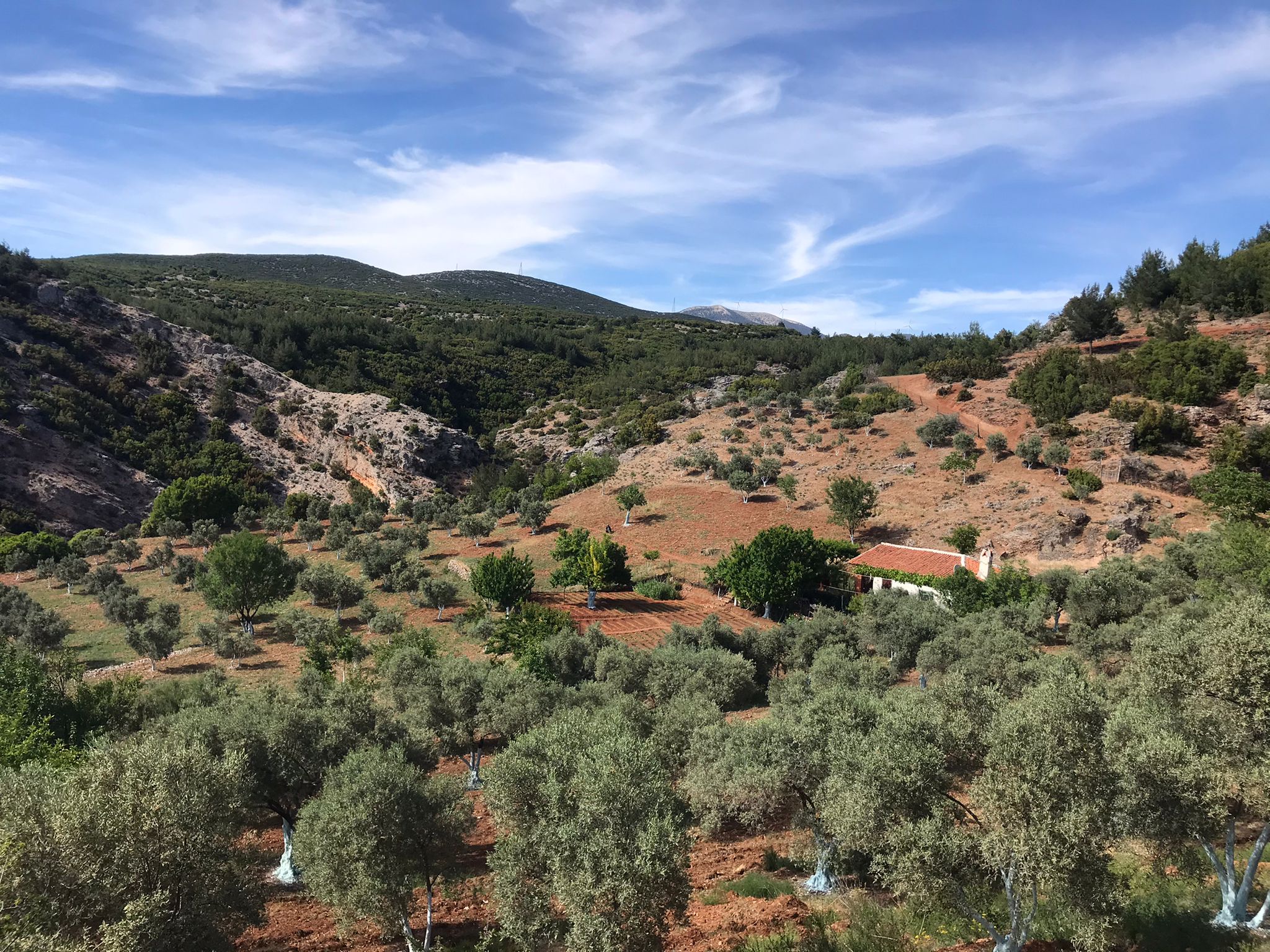 Fotoğraf