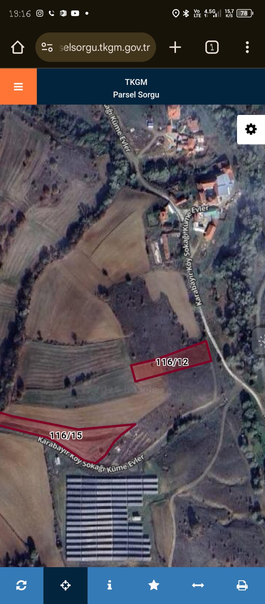 Fotoğraf