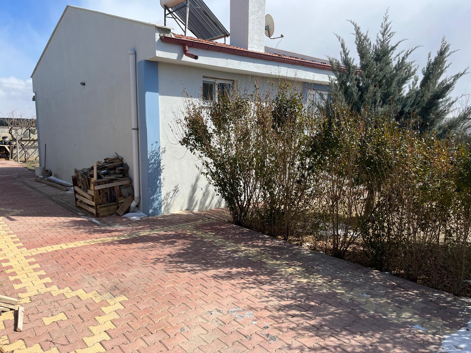 Fotoğraf