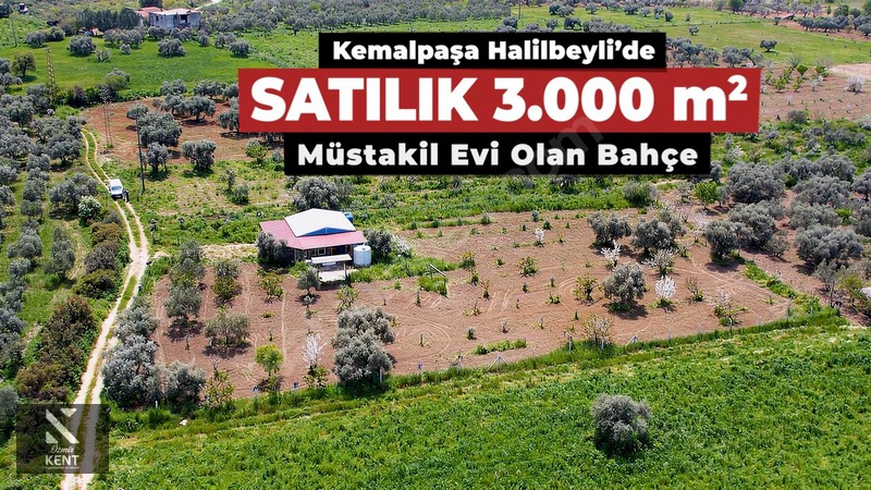 Kemalpaşa Halilbeylide Satılık 3000 m2 Bahçe 40 m2 Ev