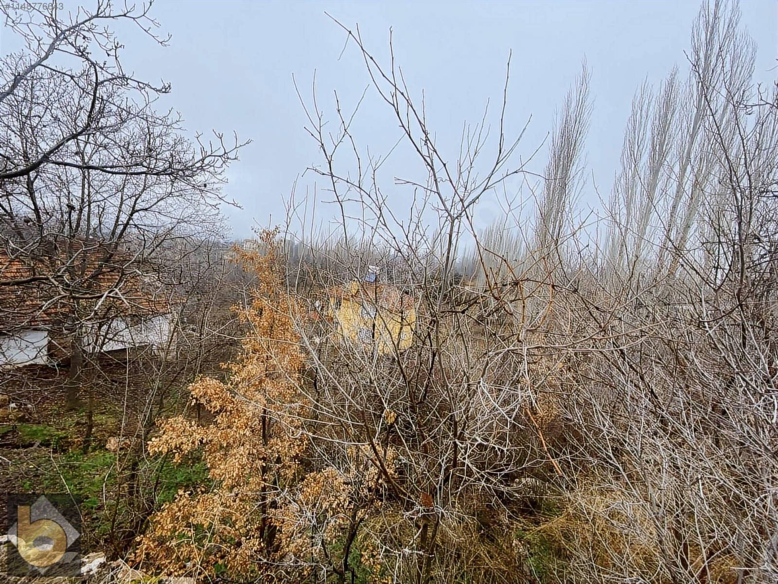 İlan Fotoğrafı