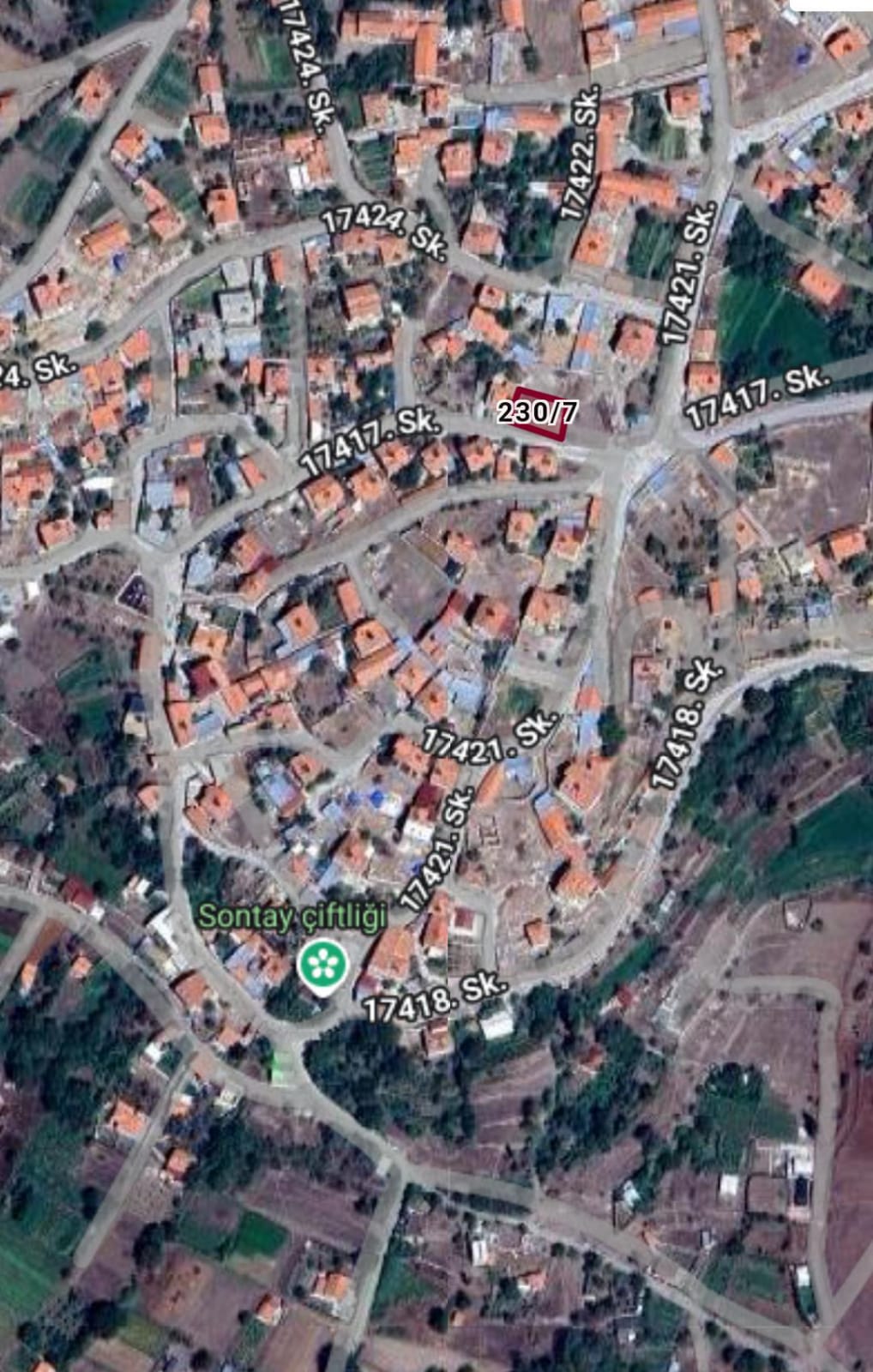 Fotoğraf