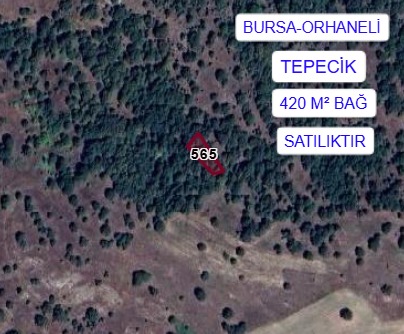 İlan Fotoğrafı