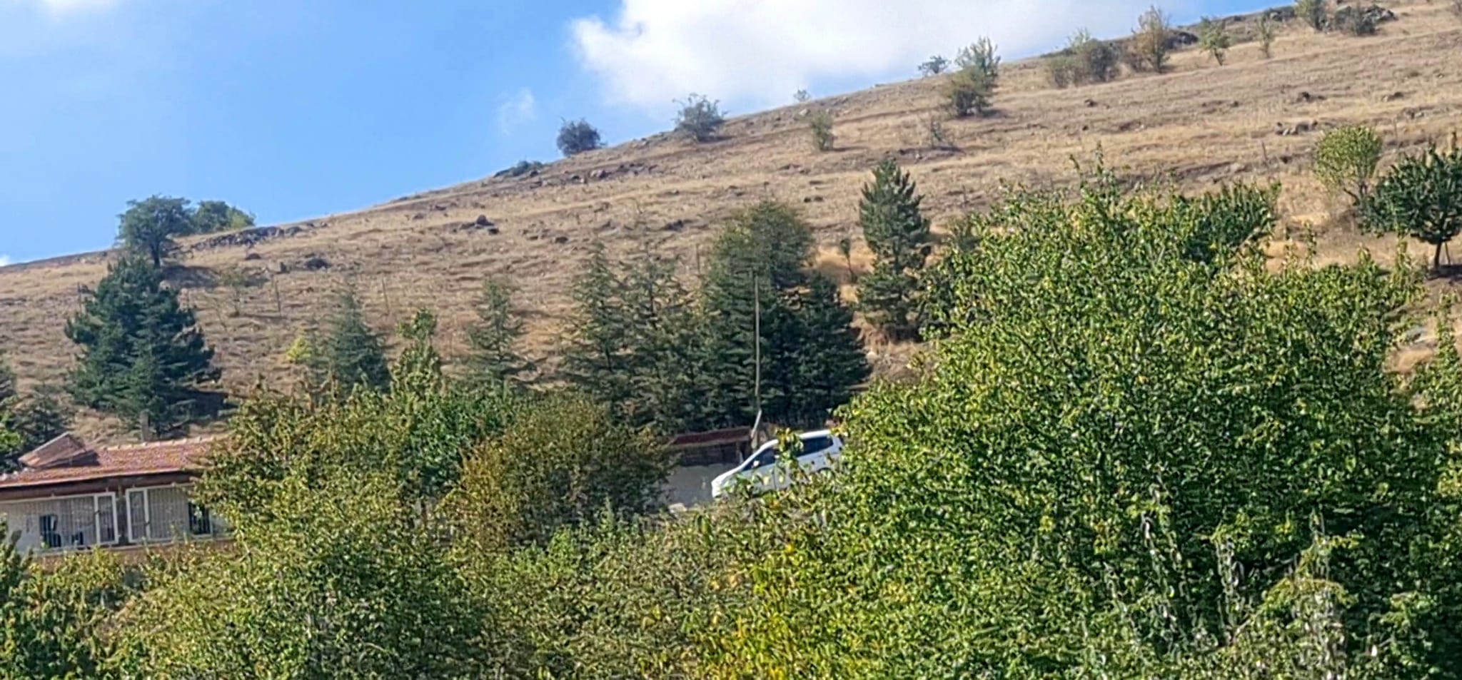 Fotoğraf