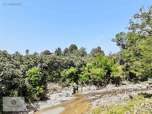 KÖKENLİ KÖYÜNDE 4 DÖNÜM SATILIK FINDIK BAHÇESİ