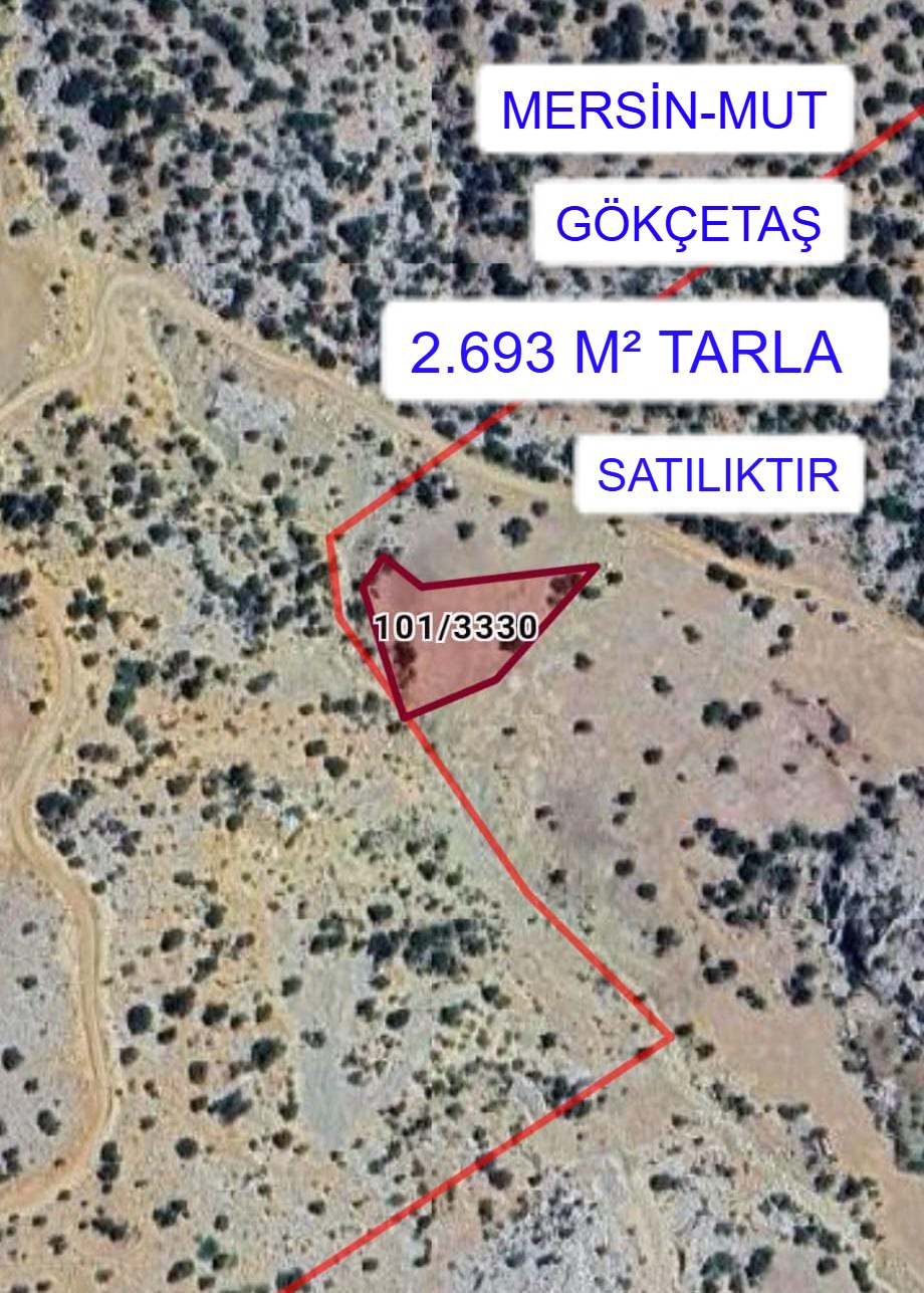 İlan Resmi