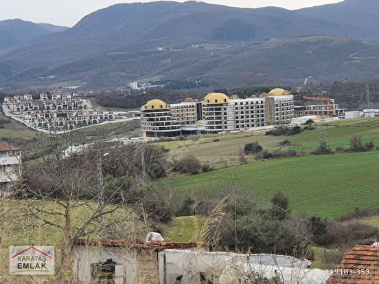 Fotoğraf