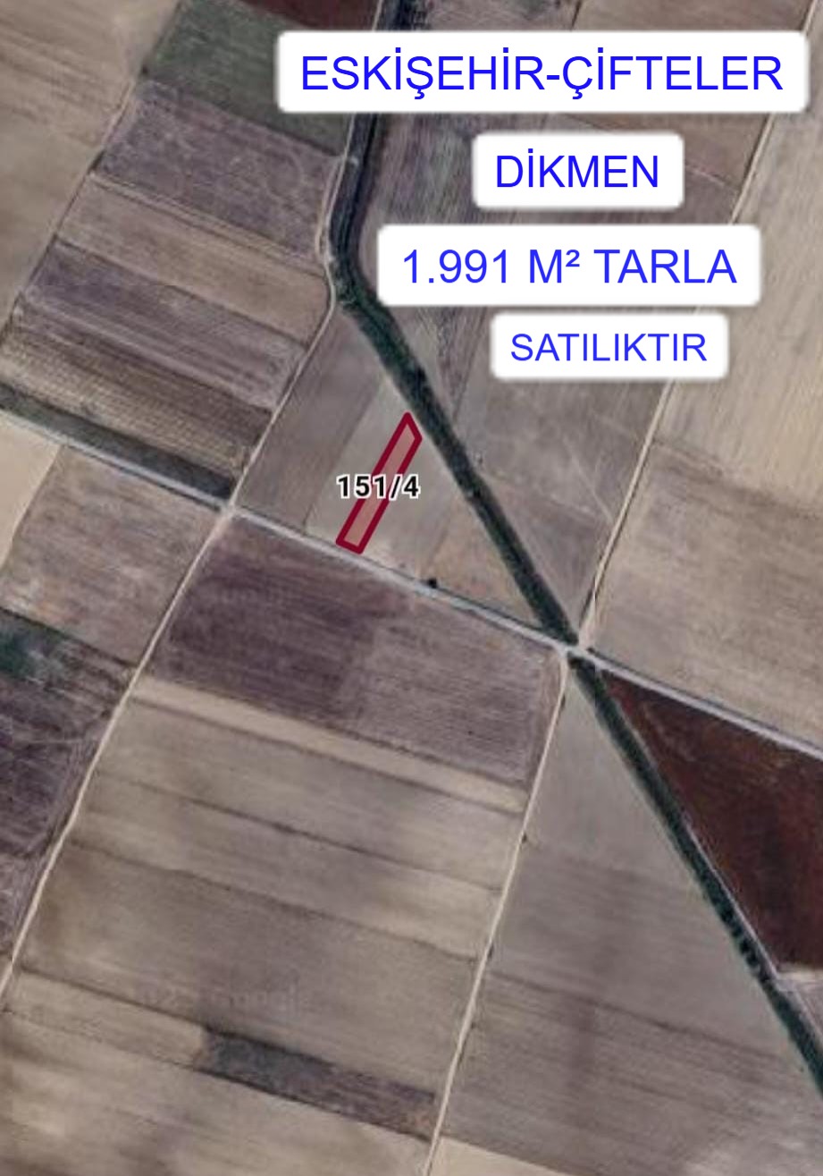 Fotoğraf
