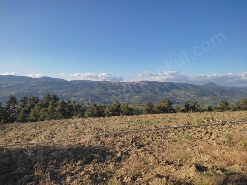 Fotoğraf