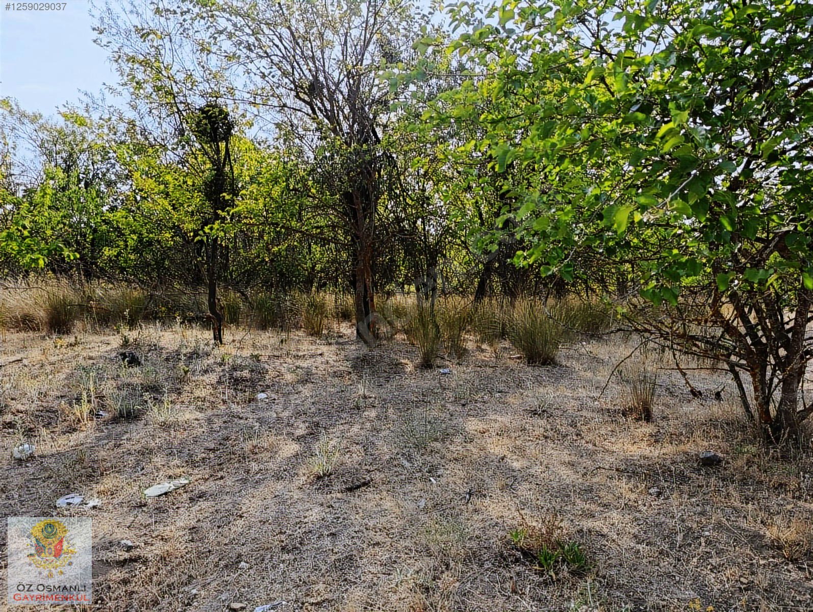 İlan Fotoğrafı