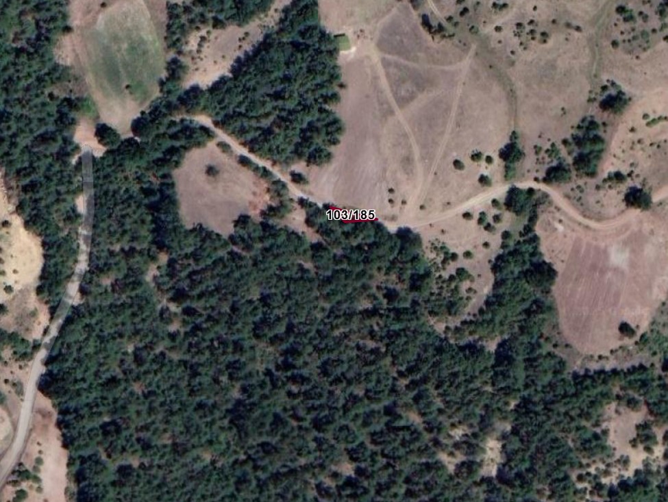 Fotoğraf