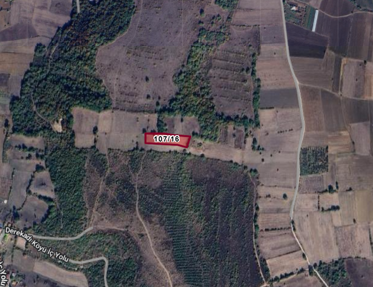 Fotoğraf