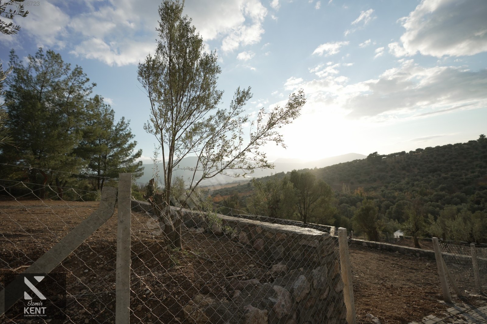 Fotoğraf