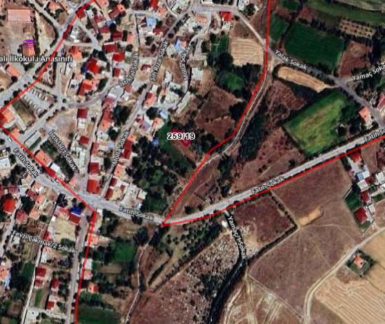 Fotoğraf