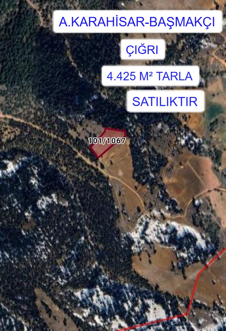 Fotoğraf