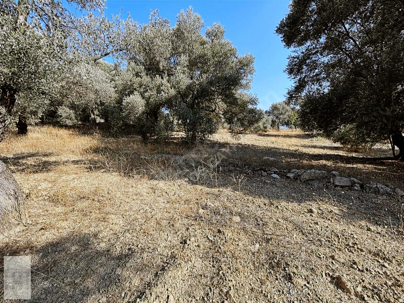 İlan Fotoğrafı