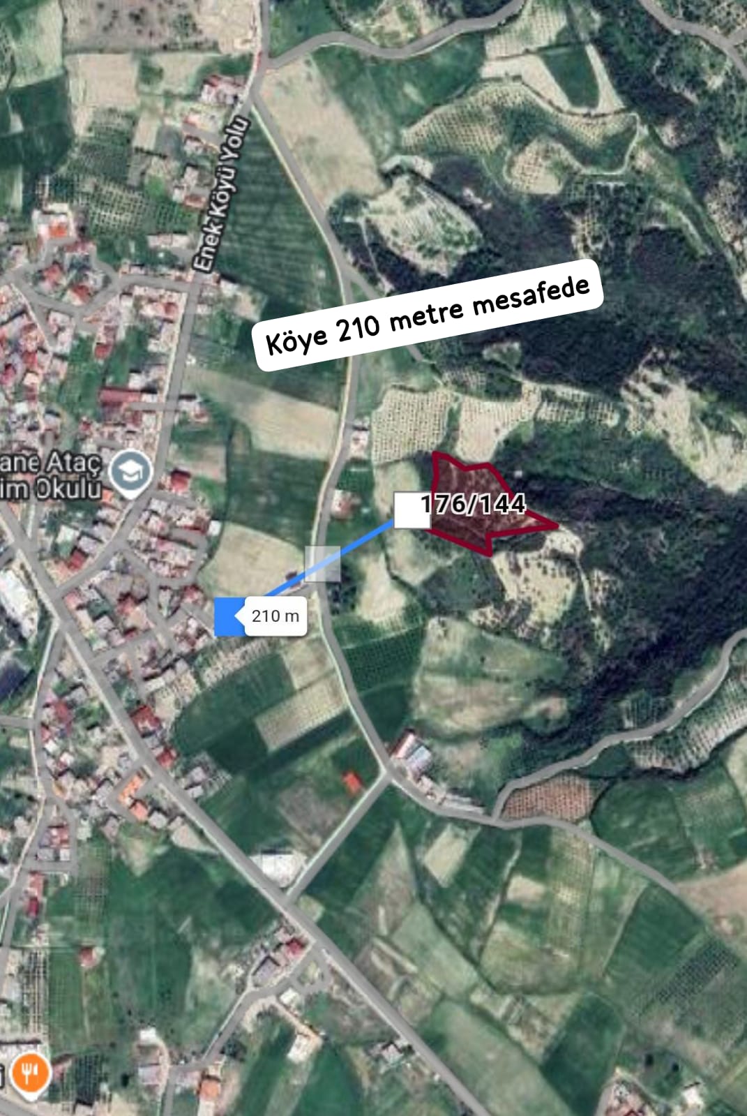 Fotoğraf
