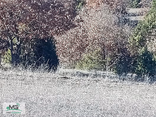 KÜTAHYA MERKEZ GÖÇERİ KÖYÜ FIRSAT ARAZİ