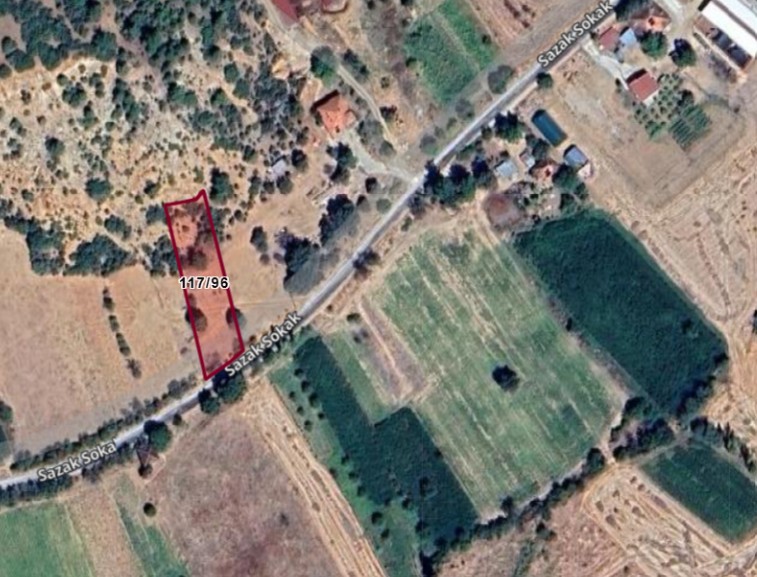 Fotoğraf