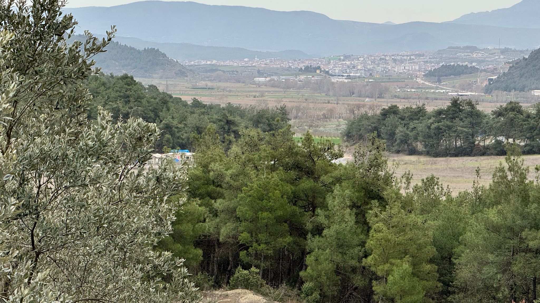 Fotoğraf