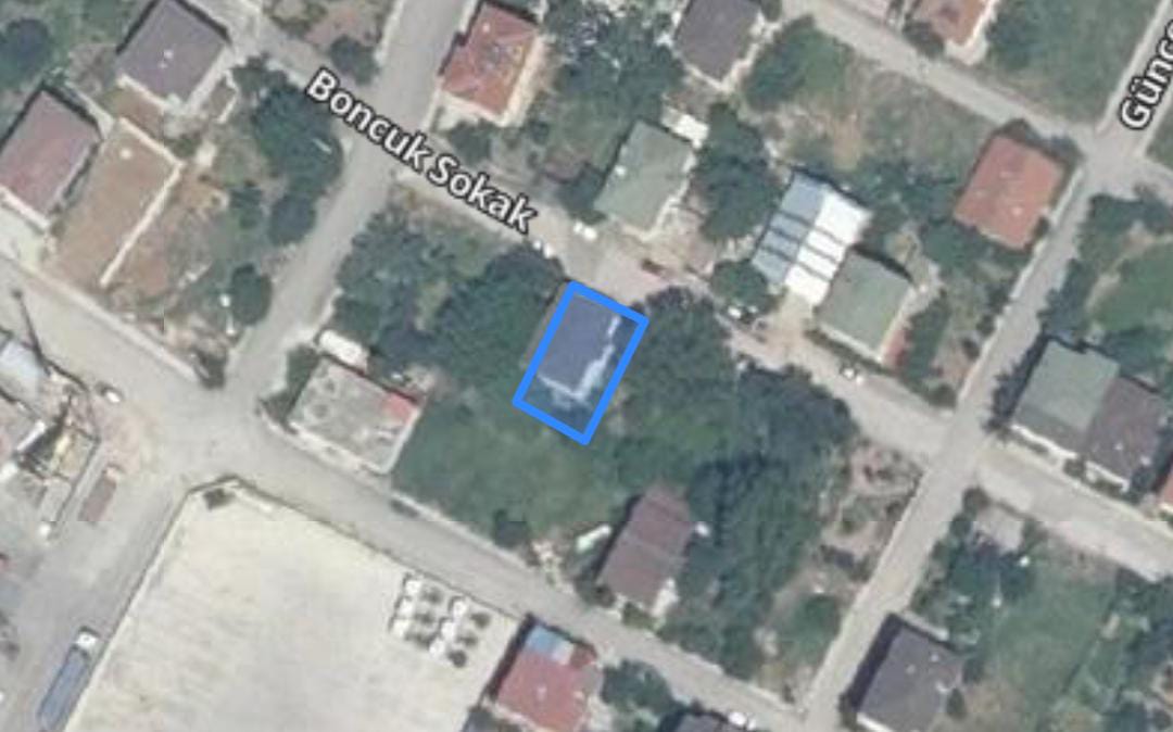 Fotoğraf