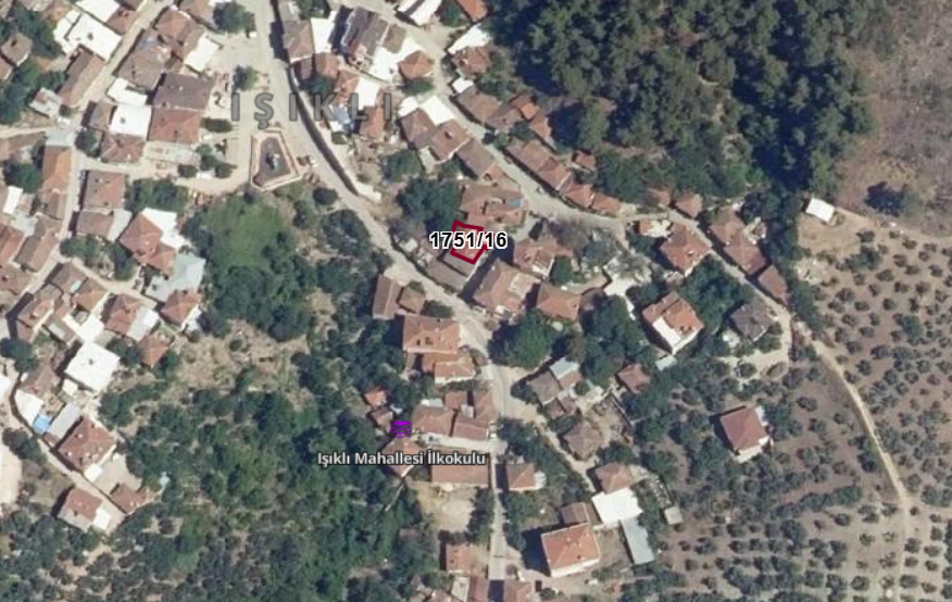 Fotoğraf