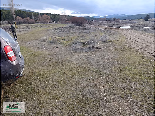 KÜTAHYA ALTINTAŞ PINARCIK FIRSAT ÜRÜN ARSA TARLA BAĞ BAHÇE