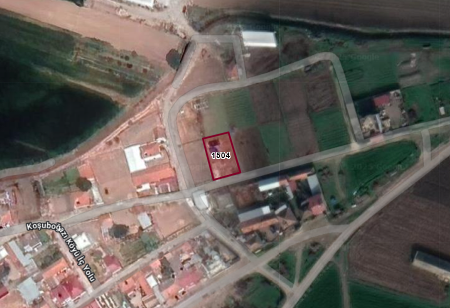 Fotoğraf