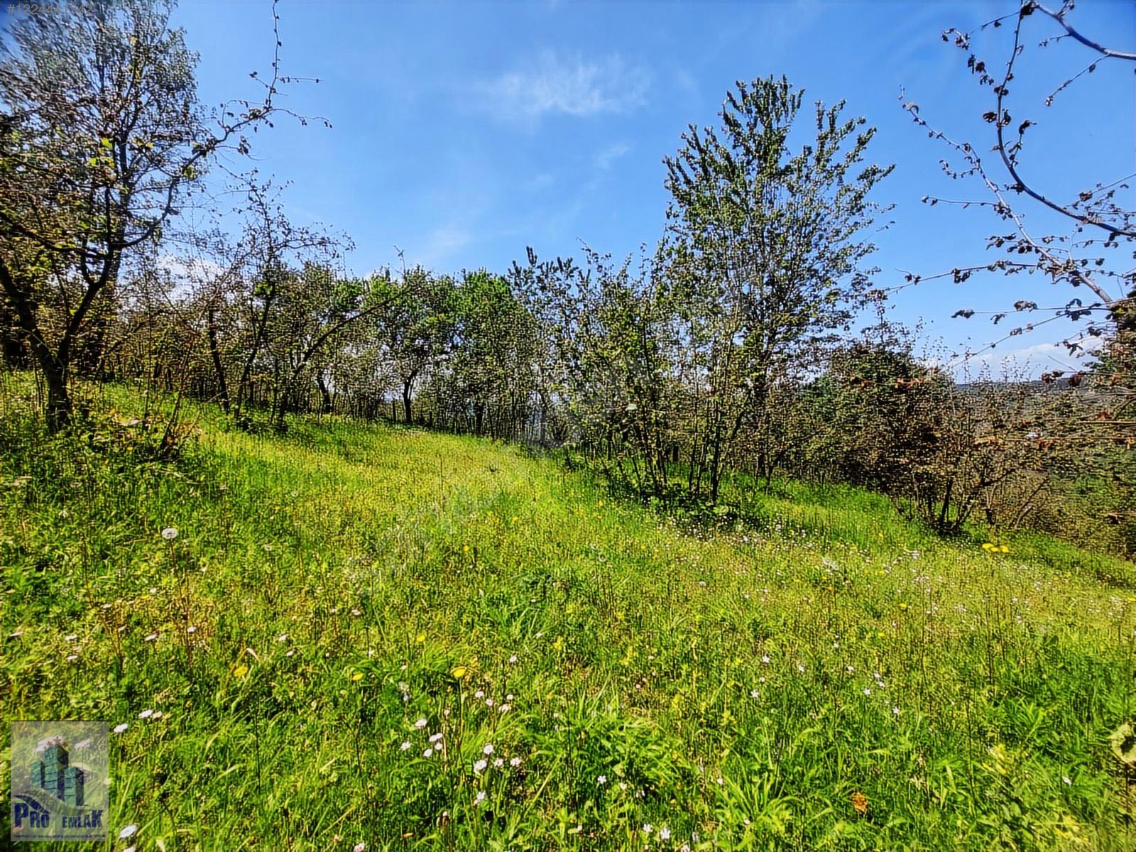 İlan Fotoğrafı