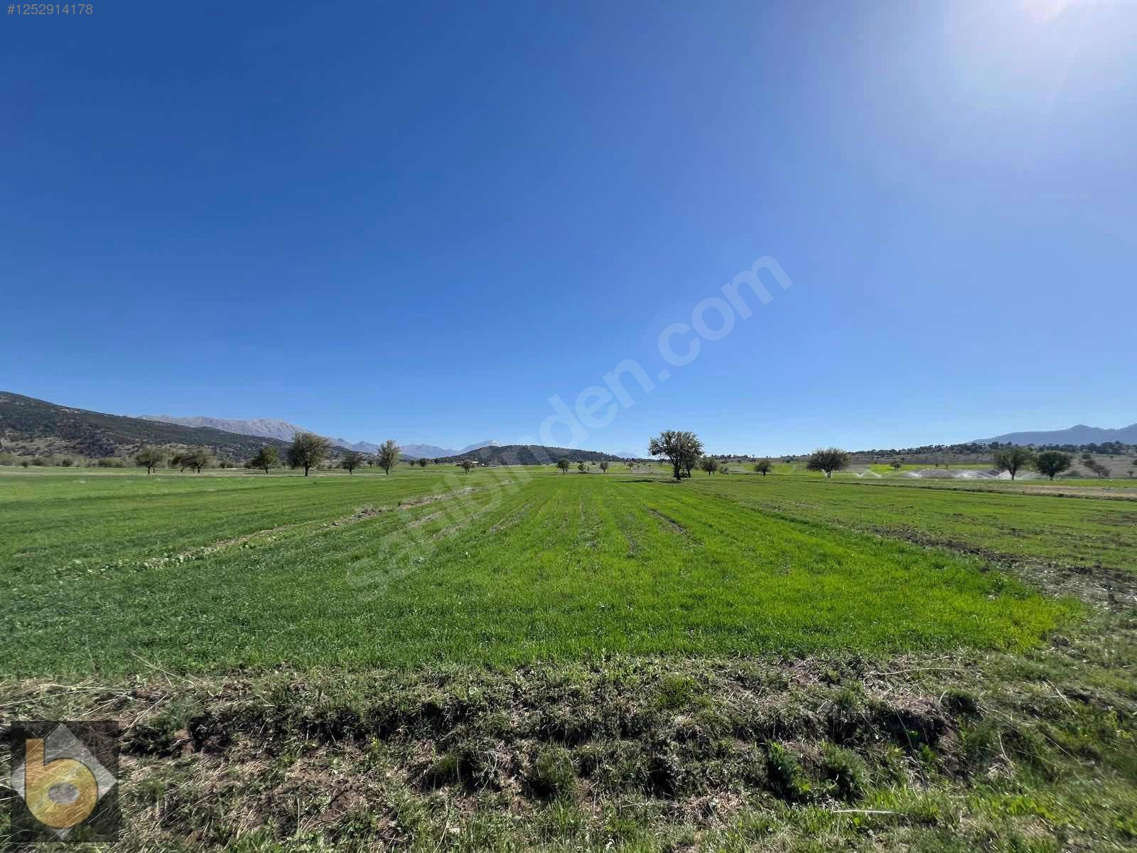 İlan Fotoğrafı