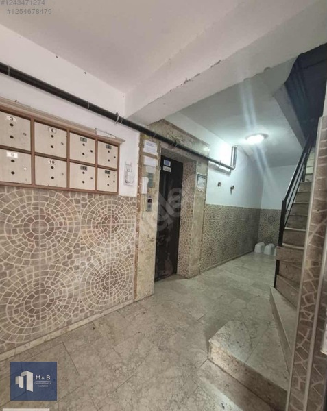 Fotoğraf