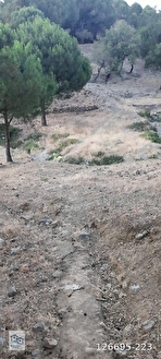 İlan Fotoğrafı