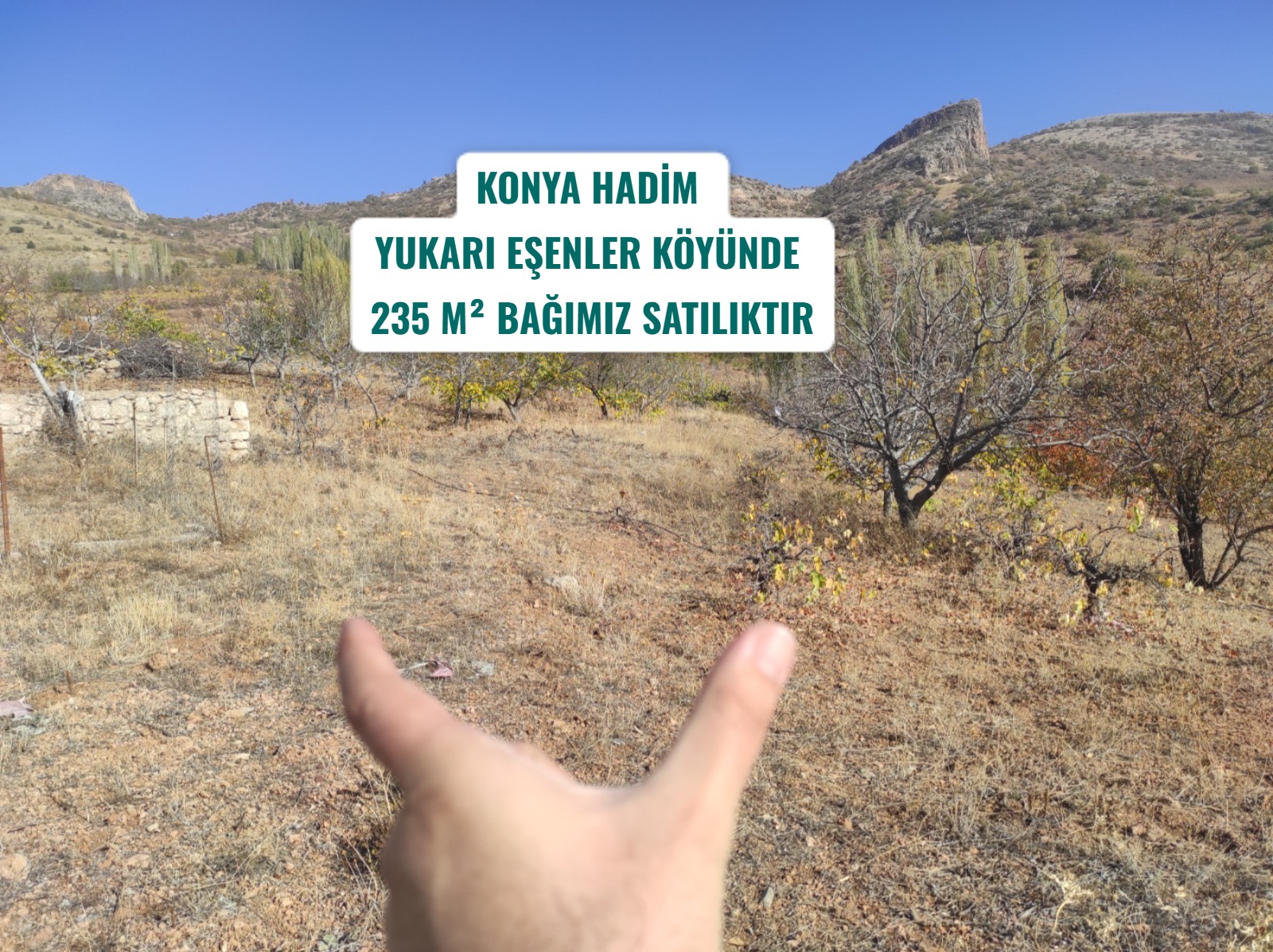 Fotoğraf