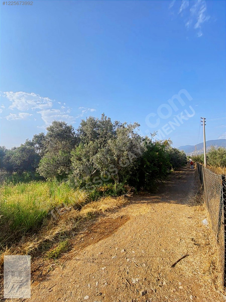 İlan Fotoğrafı